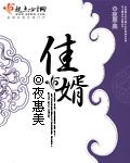 佳婿美人图