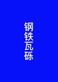 钢铁瓦砾小说